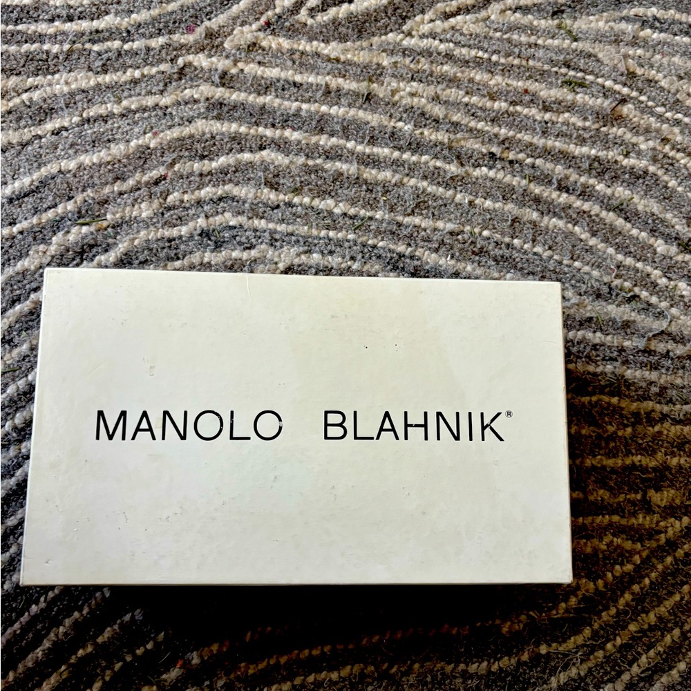 A beautiful pair of Manolo Blahnik size 40 , Gray color they are chic , stylish.